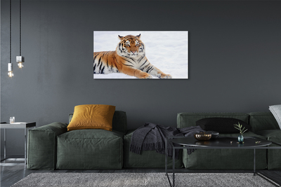 Canvas képek Tiger tél