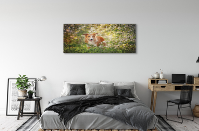 Canvas képek Kutya erdei virágok