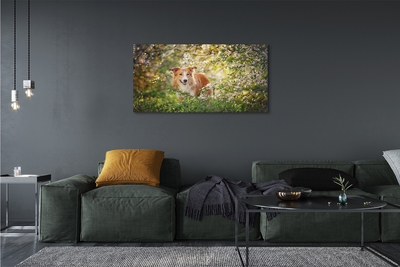 Canvas képek Kutya erdei virágok