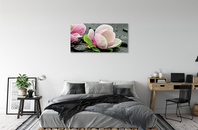 Canvas képek Magnolia kövek