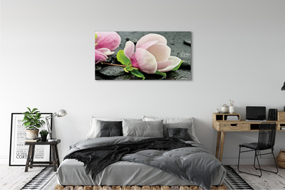 Canvas képek Magnolia kövek