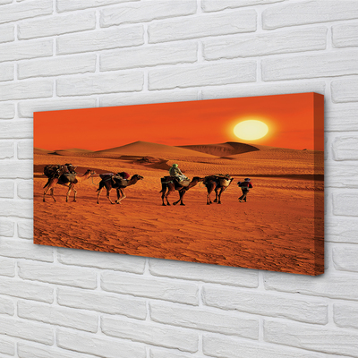 Canvas képek Tevék az emberek sivatagi nap ég