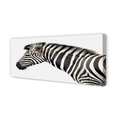 Canvas képek zebra