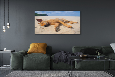 Canvas képek Fekvő kutya strand