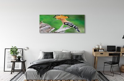 Canvas képek Fa színes papagáj