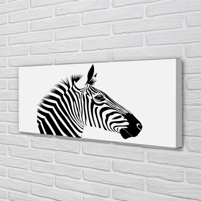 Canvas képek Illusztráció zebra