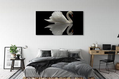 Canvas képek Swan az éjszaka