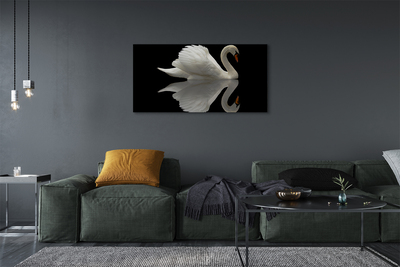 Canvas képek Swan az éjszaka