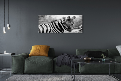 Canvas képek retro zebra