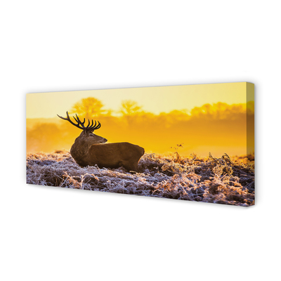 Canvas képek Deer téli napkelte