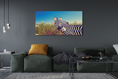 Canvas képek Zebra virágok