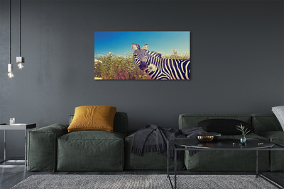 Canvas képek Zebra virágok