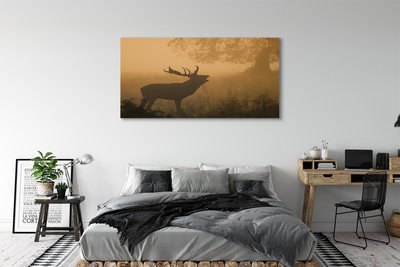 Canvas képek Deer napkelte
