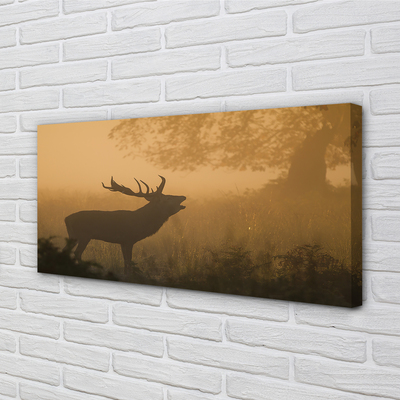 Canvas képek Deer napkelte