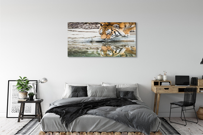 Canvas képek tigris Drink