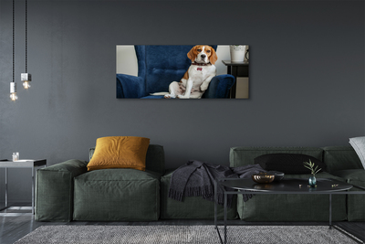 Canvas képek ül kutya