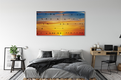 Canvas képek Madarak a kötelek naplemente