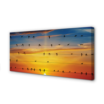 Canvas képek Madarak a kötelek naplemente