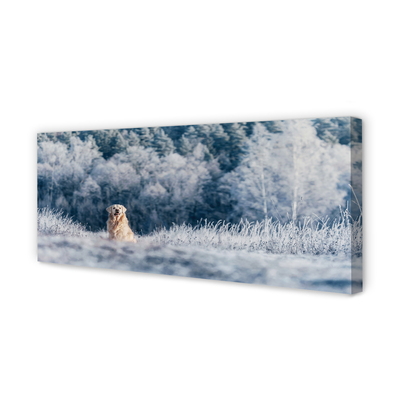 Canvas képek Winter mountain dog