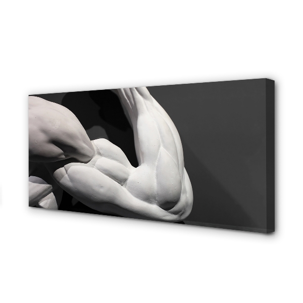 Canvas képek Muscle fekete-fehér