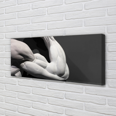 Canvas képek Muscle fekete-fehér