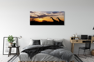Canvas képek Zsiráfok fa felhők