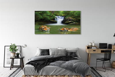 Canvas képek vízesés tigrisek