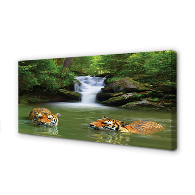 Canvas képek vízesés tigrisek