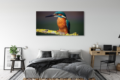 Canvas képek Színes madár egy ágon