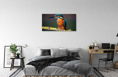Canvas képek Színes madár egy ágon