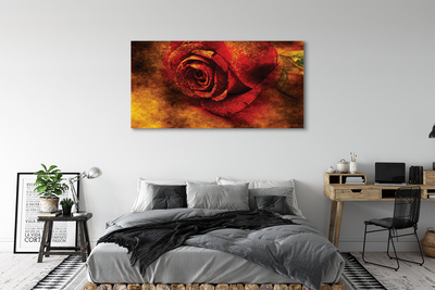 Canvas képek rózsa kép