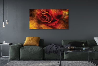 Canvas képek rózsa kép