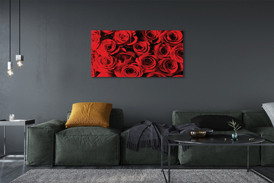 Canvas képek Roses