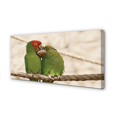 Canvas képek zöld papagájok