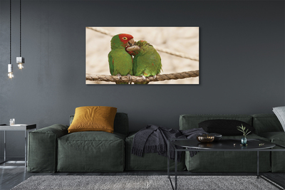 Canvas képek zöld papagájok