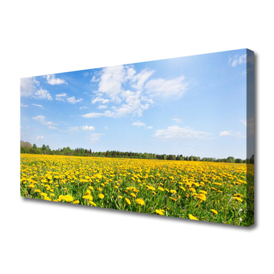 Vászonkép Dandelion Meadow