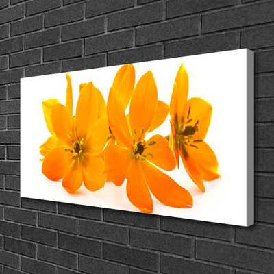 Vászonkép nyomtatás Orange növény virágai