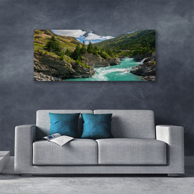 Vászonkép falra Hegység River Landscape