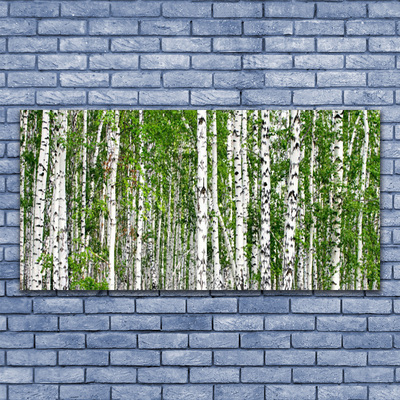 Vászonkép Nyírfa erdő Természetvédelmi