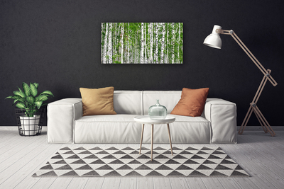 Vászonkép Nyírfa erdő Természetvédelmi