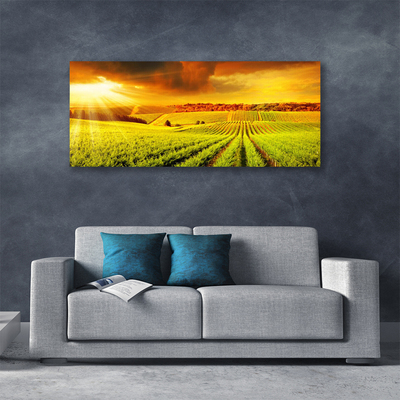 Vászonkép falra Field Sunset Landscape