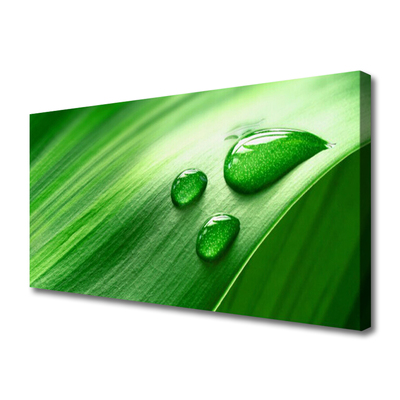 Vászonfotó Leaf Water Drops