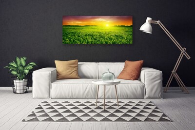 Vászonkép falra Wheat Field Sunrise