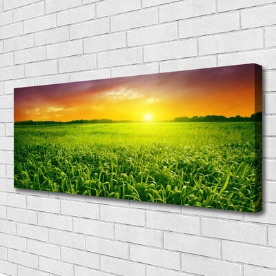 Vászonkép falra Wheat Field Sunrise