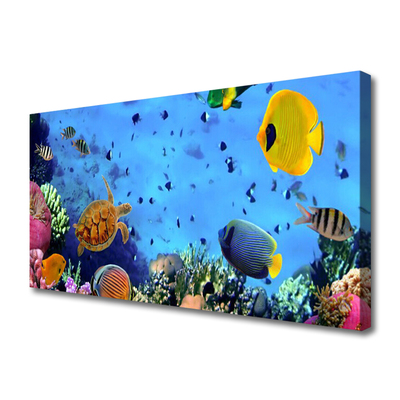 Vászonkép falra Coral Reef Halak Természet
