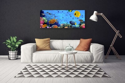 Vászonkép falra Coral Reef Halak Természet