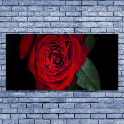Vászonfotó Rose A Wall