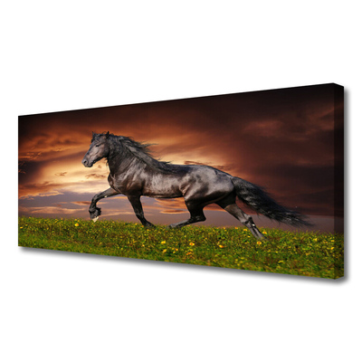 Vászonfotó Black Horse Meadow Állatok