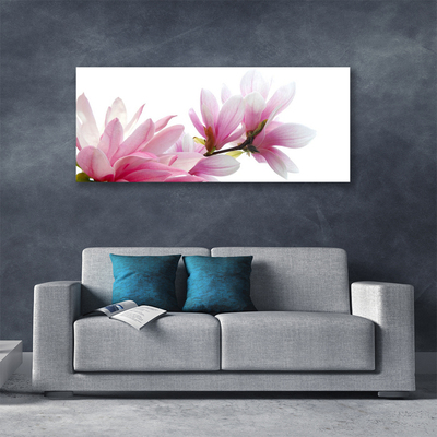 Vászonkép Magnolia Flower