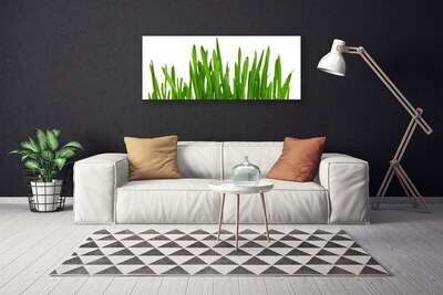 Vászonfotó Grass A Wall